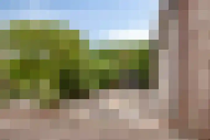Olmendreef 2 c Steenbergen thumbnail 29