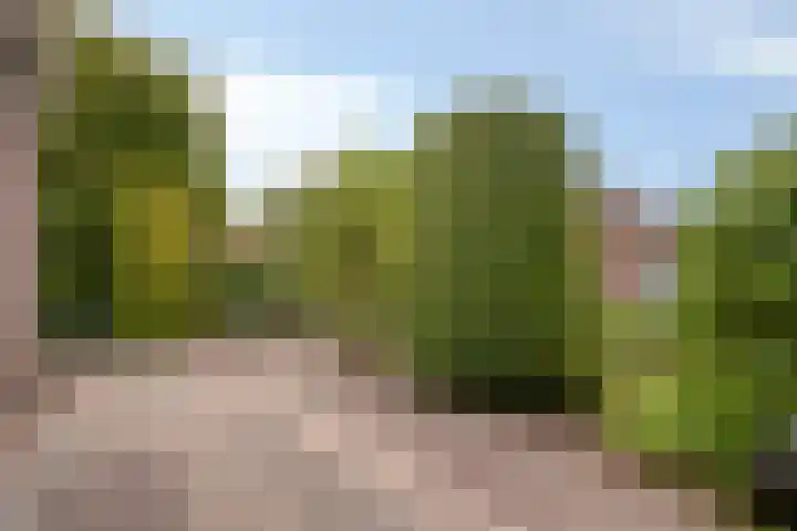 Olmendreef 2 c Steenbergen thumbnail 30