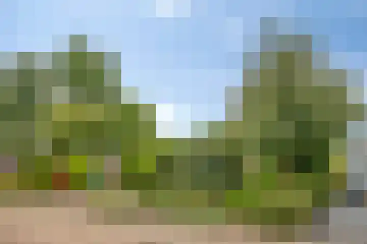 Olmendreef 2 c Steenbergen thumbnail 35