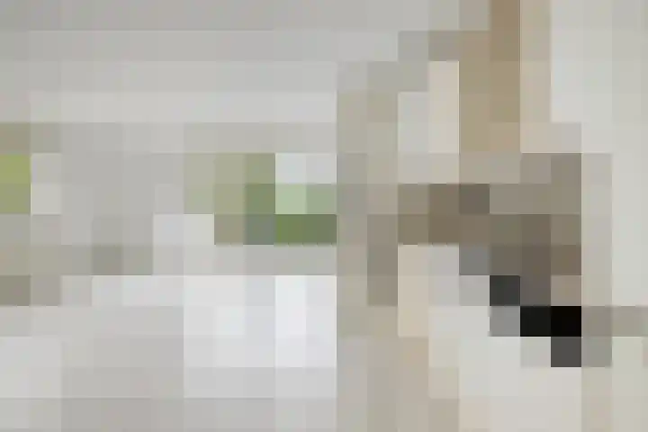 Olmendreef 2 c Steenbergen thumbnail 4