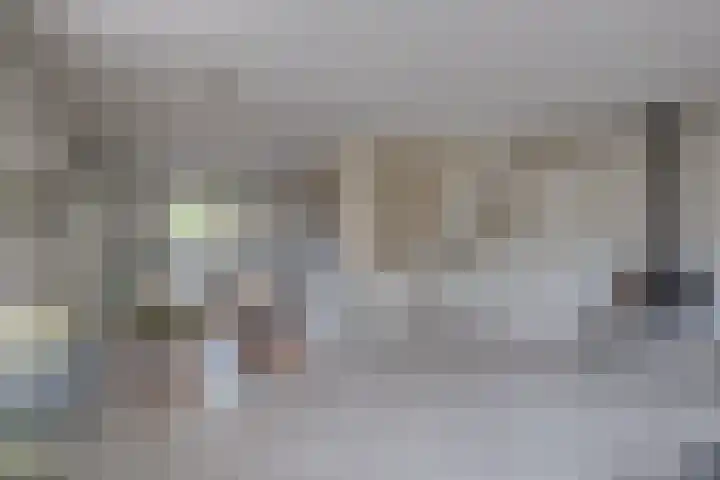 Olmenhof 2 Dieren thumbnail 11