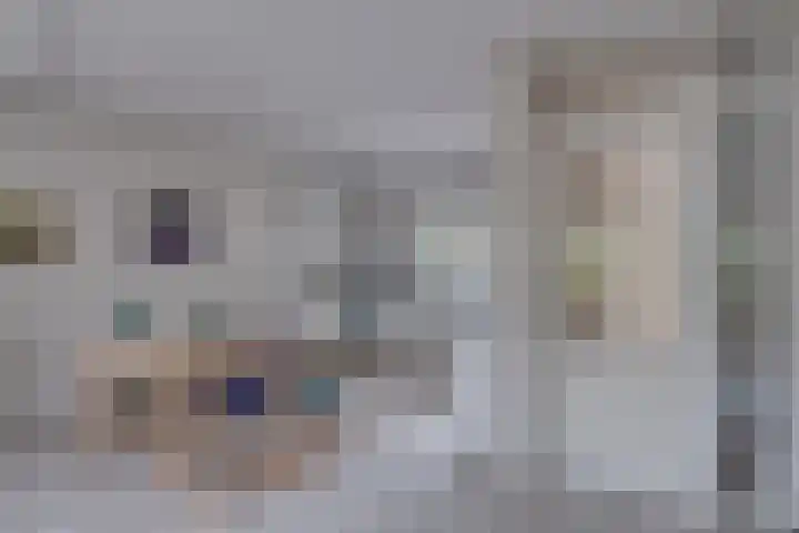 Olmenhof 2 Dieren thumbnail 12