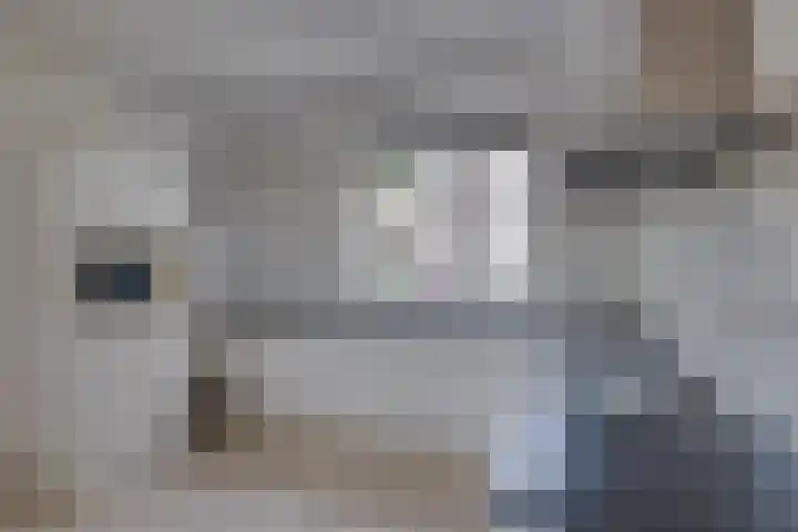 Olmenhof 2 Dieren thumbnail 16