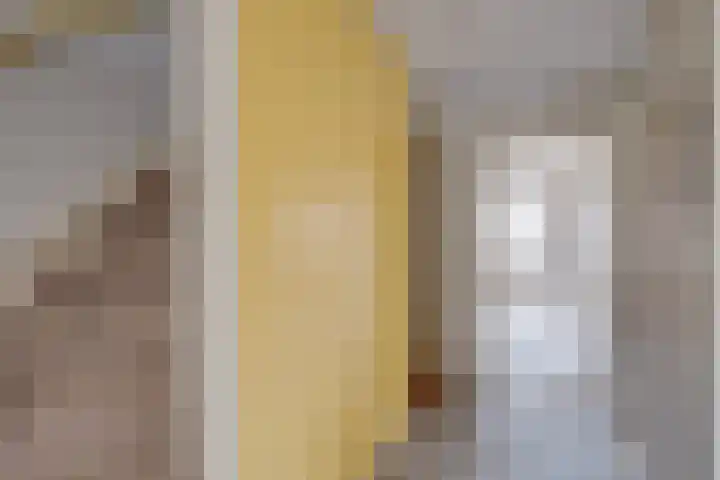 Olmenhof 2 Dieren thumbnail 24