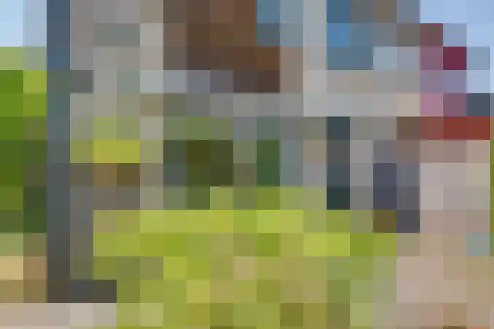 Olmenhof 2 Dieren thumbnail 26
