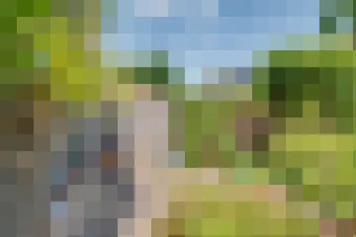 Olmenhof 2 Dieren thumbnail 27