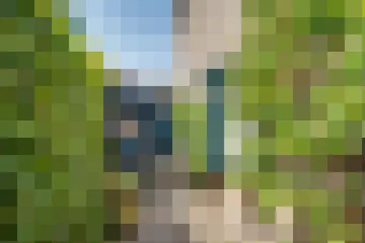 Olmenhof 2 Dieren thumbnail 30