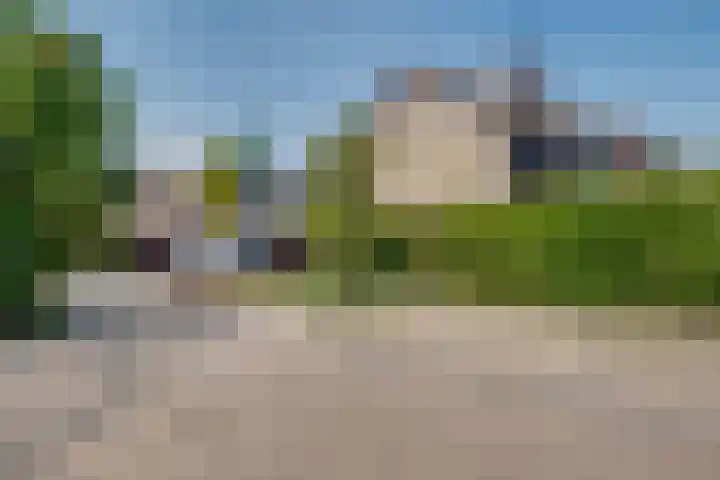 Olmenhof 2 Dieren thumbnail 31
