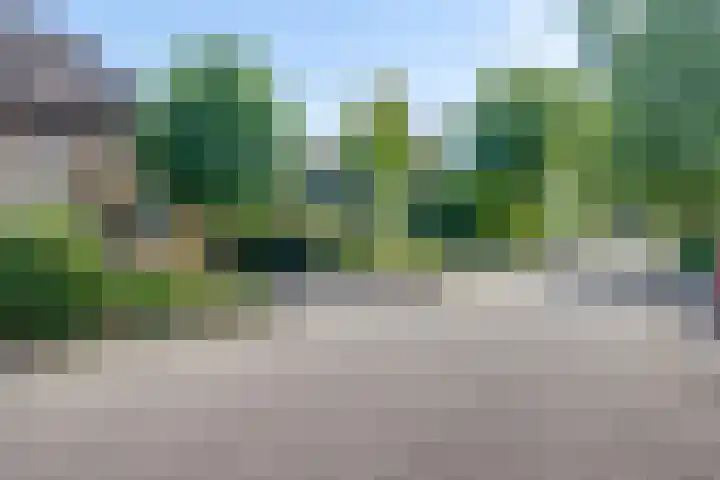 Olmenhof 2 Dieren thumbnail 33