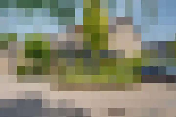 Olmenhof 2 Dieren thumbnail 4