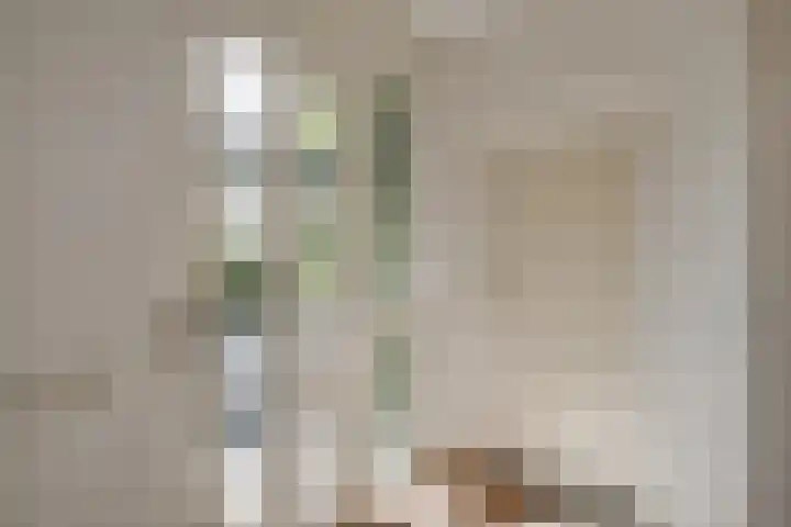 Olmenhof 2 Dieren thumbnail 7