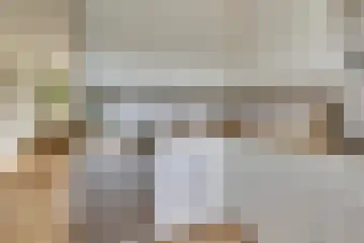 Olmenhof 40 Dieren thumbnail 11