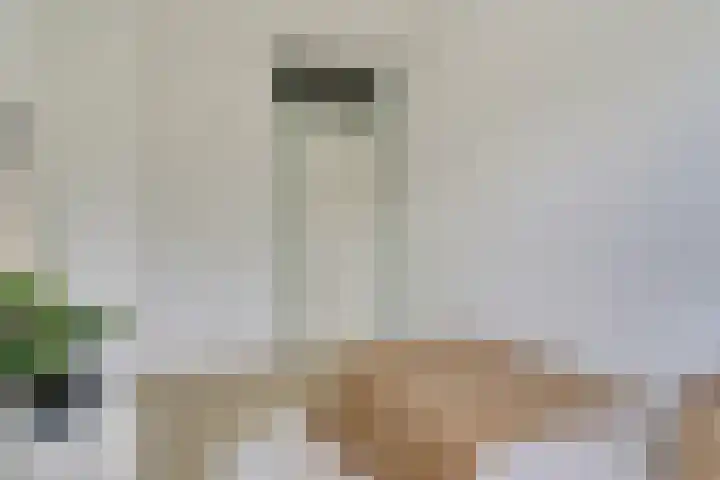 Olmenhof 40 Dieren thumbnail 20