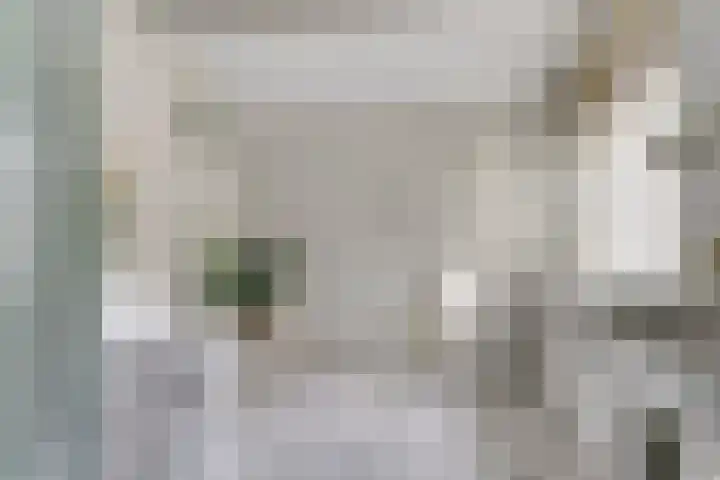 Olmenhof 40 Dieren thumbnail 21