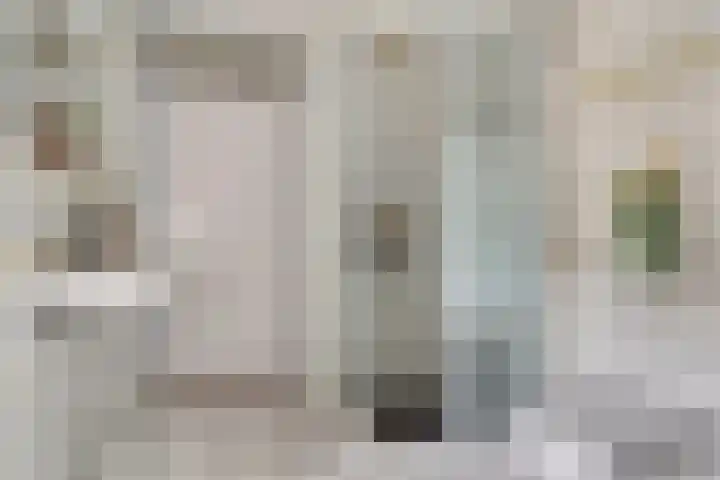 Olmenhof 40 Dieren thumbnail 22