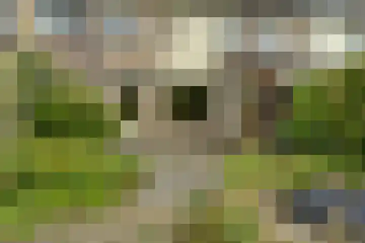 Olmenhof 40 Dieren thumbnail 28
