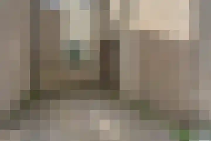 Olmenhof 40 Dieren thumbnail 30