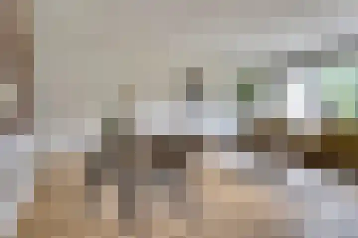 Olmenhof 40 Dieren thumbnail 4