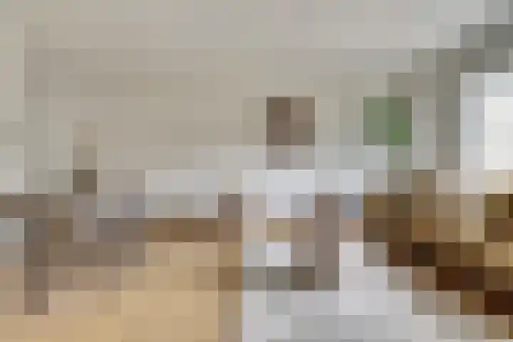 Olmenhof 40 Dieren thumbnail 6