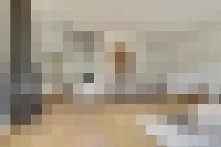 Olmenhof 40 Dieren thumbnail 7