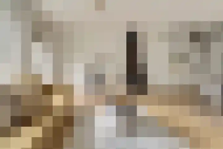 Olmenhof 40 Dieren thumbnail 8