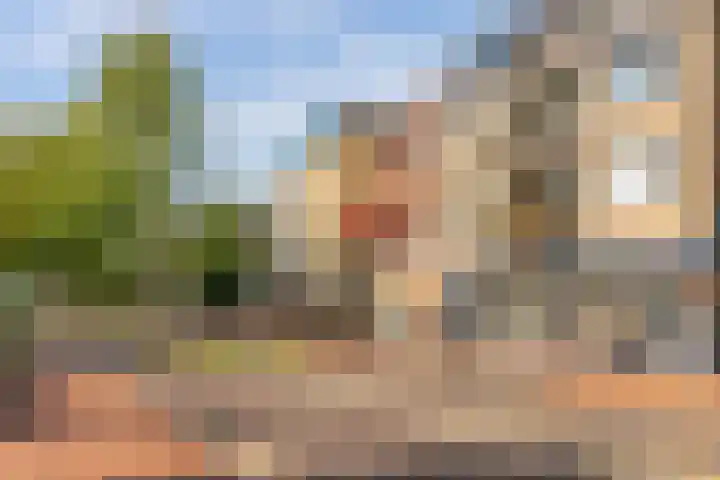 Olmenlaan 106 Bussum thumbnail 23