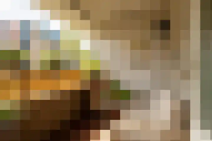 Olmenlaan 106 Bussum thumbnail 5