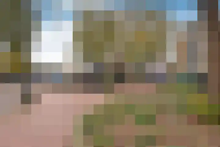 Olmenlaan 114 Bussum thumbnail 14