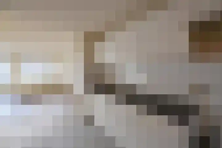 Olmenlaan 114 Bussum thumbnail 7