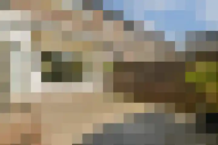 Olmenlaan 50 Zwanenburg thumbnail 12