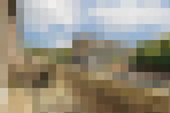 Olmenlaan 50 Zwanenburg thumbnail 18