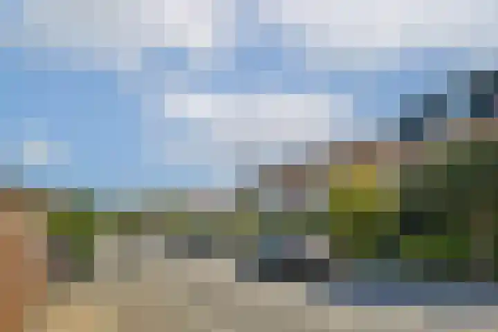 Olmenlaan 50 Zwanenburg thumbnail 29
