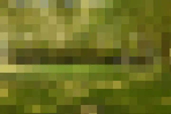 Olmenlaan 50 Zwanenburg thumbnail 31