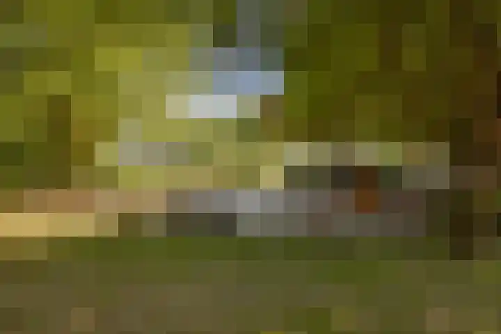 Olmenlaan 50 Zwanenburg thumbnail 32