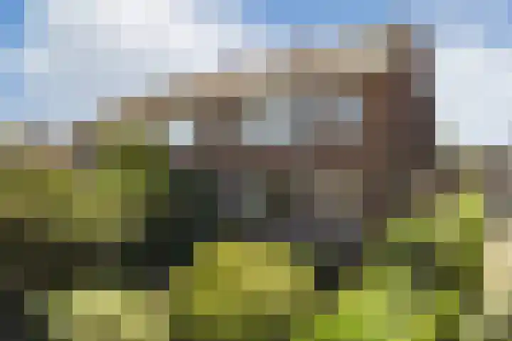 Olmenlaan 50 Zwanenburg thumbnail 42