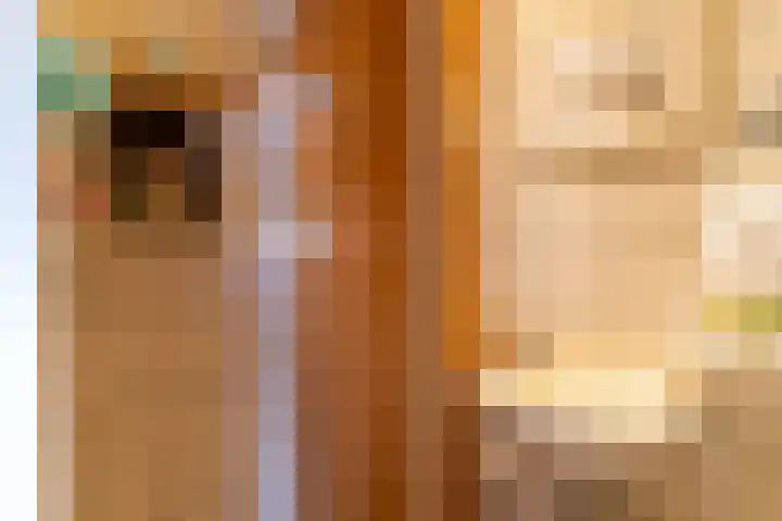 Olmenpad 1 Waspik thumbnail 11