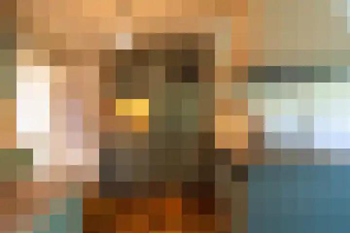 Olmenpad 1 Waspik thumbnail 14