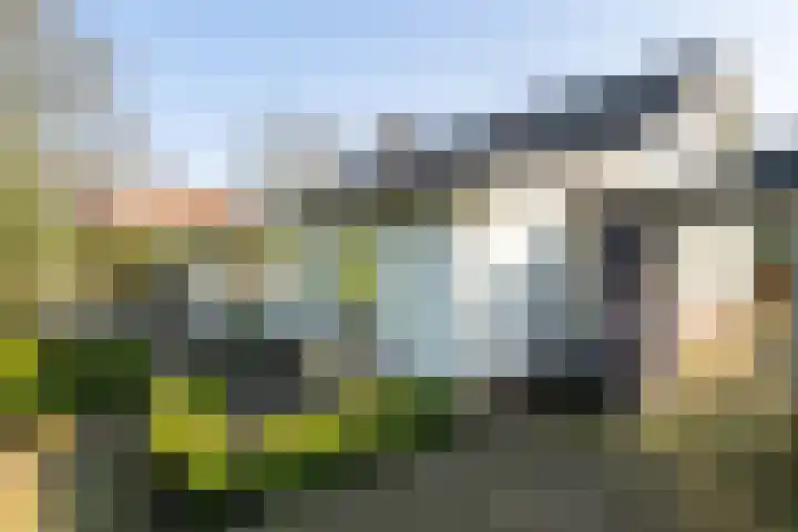 Olmenpad 1 Waspik foto 3