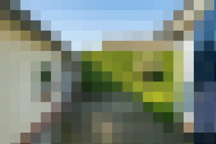 Olmenpad 1 Waspik thumbnail 33