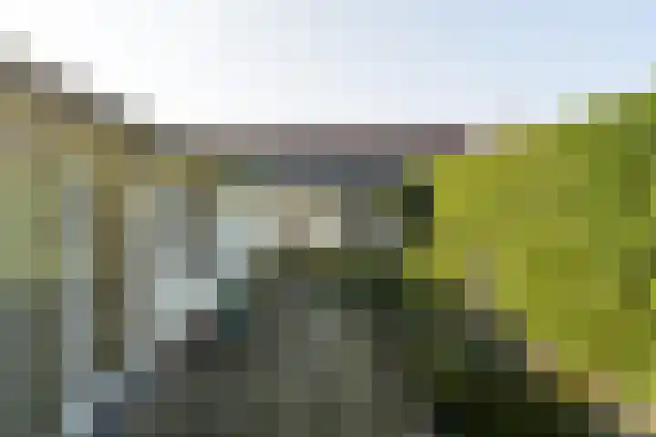 Olmenpad 1 Waspik thumbnail 34