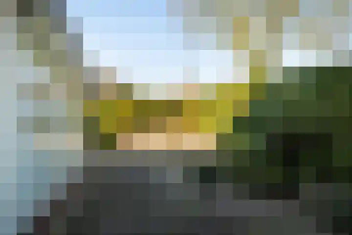 Olmenpad 1 Waspik thumbnail 37