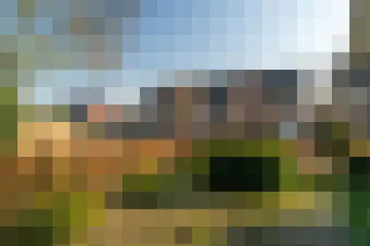 Olmenpad 1 Waspik thumbnail 7