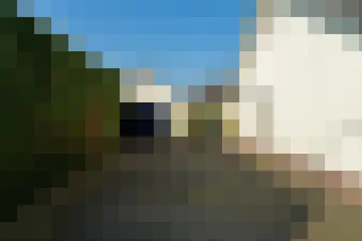 Olmenpad 1 Waspik thumbnail 8