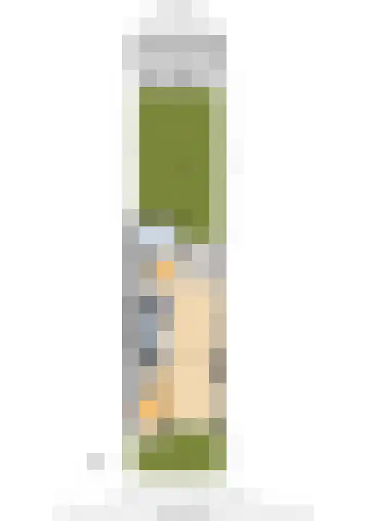 Olmenstraat 44 Haarlem thumbnail 34