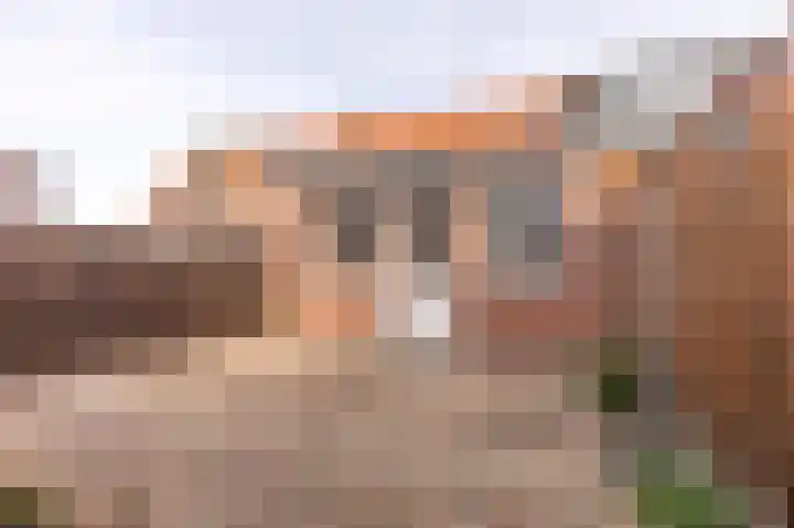 Olmenstraat 68 Landgraaf thumbnail 17