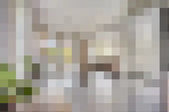 Olympiade 1 Brunssum thumbnail 16