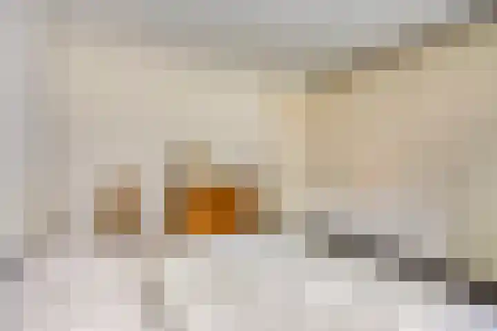 Olympiade 1 Brunssum thumbnail 19