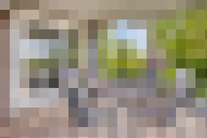 Olympiade 1 Brunssum thumbnail 27