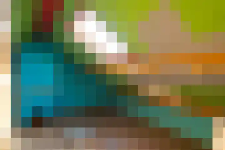 Olympiastraat 8 Landgraaf thumbnail 19