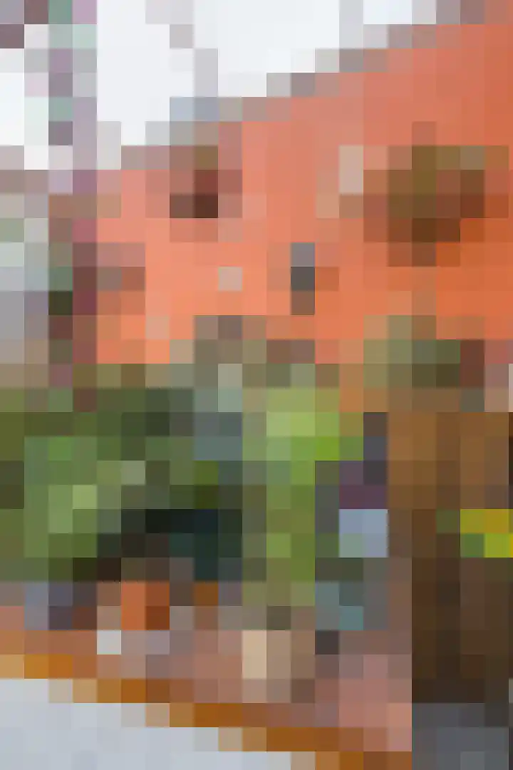 Olympiastraat 8 Landgraaf thumbnail 20